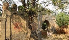 石家庄高邑爆料事件最新